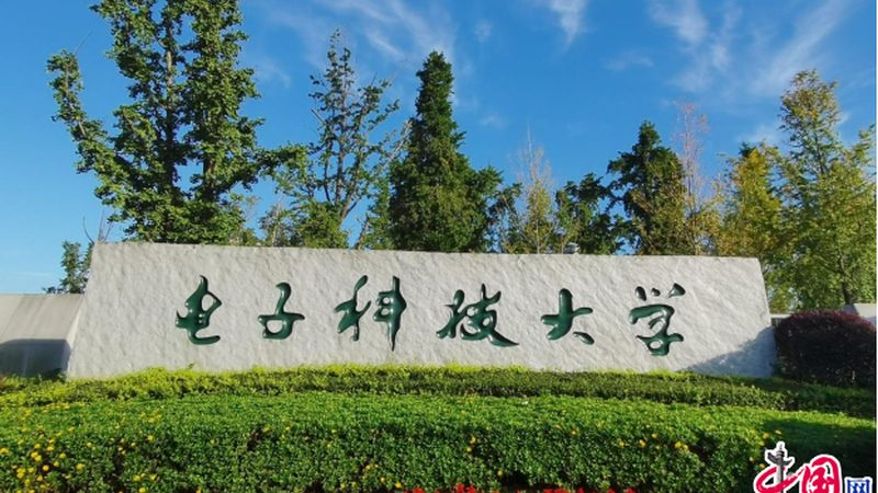 TO系列二极管封装尺寸揭秘：关键参数与选型指南**