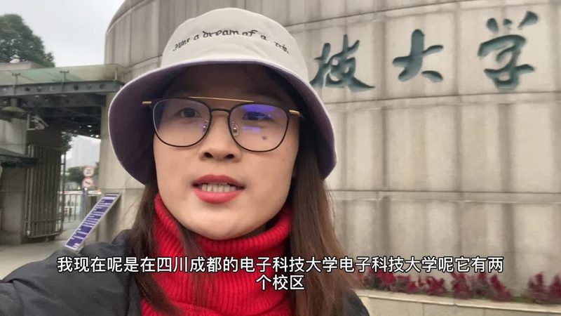 整流二极管1N4007：揭秘其应用与选型要点**